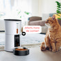 Dispensador automático de alimentos para perros y gatos táctil IMA